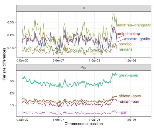 Landscapes of genomic variation